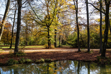 Golden autumn view in famous Munich relax place - Englischer Garten. Munich, Bavaria, Germany