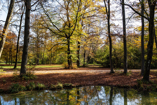 Golden autumn view in famous Munich relax place - Englischer Garten. Munich, Bavaria, Germany