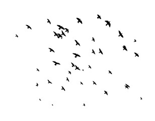 Obraz premium Flying birds silhouette flock. hand drawing. Not AI. Vector illustration