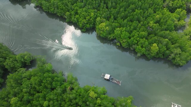 Aerial view of the serene river flowing through Thailands lush mangroves