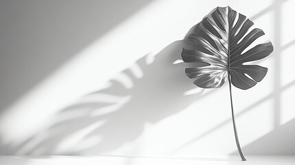 A captivating metal monstera leaf wall decor with a distressed finish. A stylish, nature-inspired accent piece.