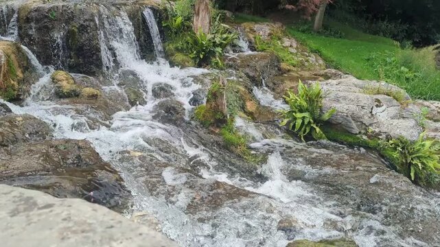 A serene video captures the continuous, gentle movement of clear water cascading down a series of rugged, moss-covered stone ledges and merging into a peaceful, babbling stream