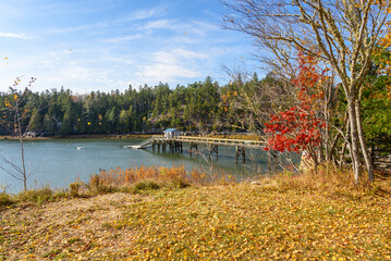 Fototapeta premium Empty wooden pier on a secluded cove along the coast of Maine in autumn