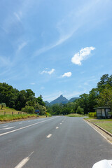 Fototapeta premium Road leading to Mount Warning in Road leading to Mount Warning National Park