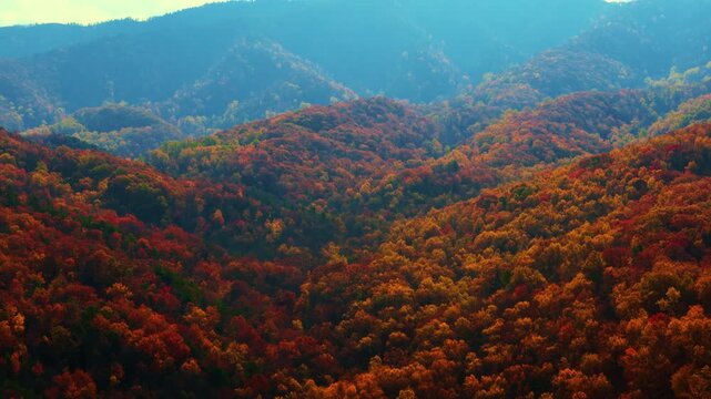 Aerial drone footage of element Great Smoky Mountains. Layers of distant blue mountains blend with the blue sky