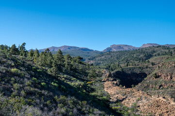 Volcanic gorge at El R&iacute;o, Tenerife, Canary Islands, Spain