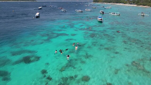 snorkeling in the ocean