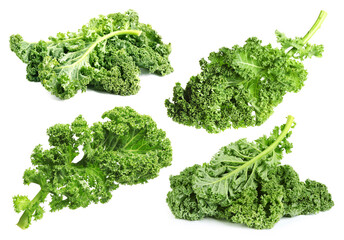 Obraz premium Fresh green kale leaves isolated on white, set