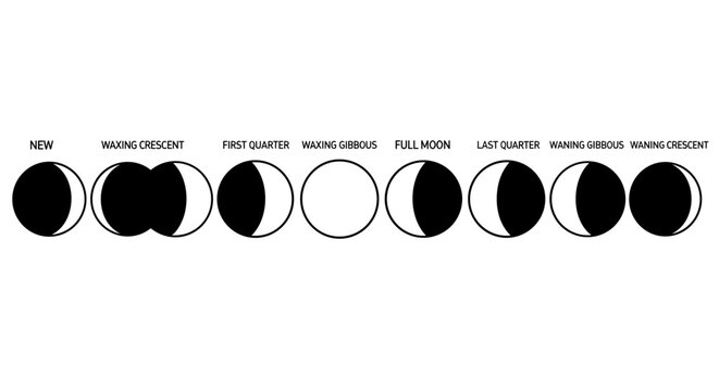 Phases of the Moon Cycle 7.