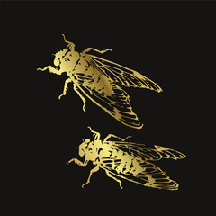 japanese chinese vector ink traditional asian golden design isolated