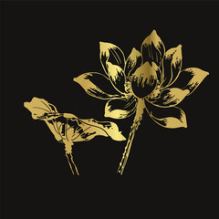 lotus flower japanese chinese vector ink traditional asian golden design isolated