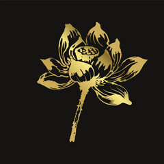 lotus flower japanese chinese vector ink traditional asian golden design isolated