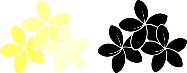 Plumeria frangipani flowers silhouettes and yellow floral patterns