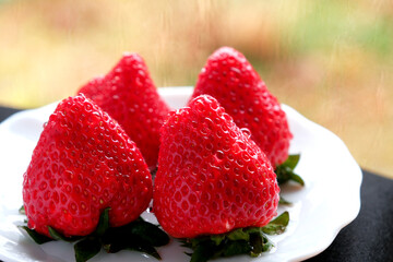 採れたての赤くて甘いイチゴ