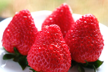 採れたての赤くて甘いイチゴ