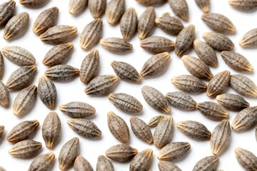 Obraz premium A large group of brown seeds on a white surface