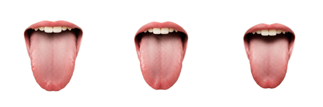 Human tongue isolated on white background, lingual anatomy, taste buds, tongue muscles, oral cavity, speech organ, digestive system, tongue diagram, tongue illustration, medical internal organ image