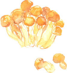 水彩で描いたなめこのイラスト　ベクター