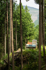 クローラータイプの木材運搬車