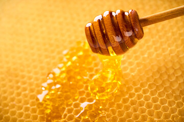Macro shot of natural honey drop dripping from the honeycomb.
