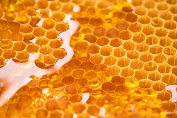 close-up of honey, honey background, sweet honey background close up.