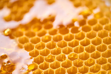 Close Up view of Honey cells pattern, beekeeping honeycomb texture.