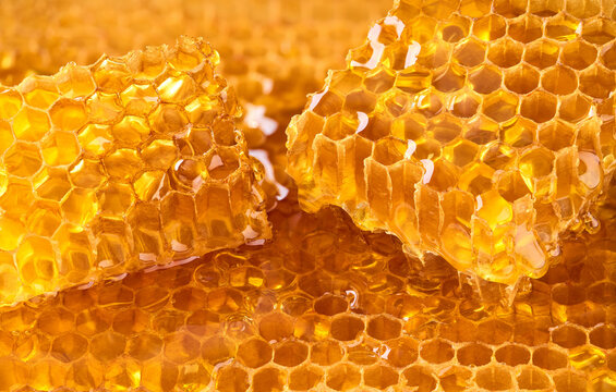 honeycomb with flowing honey syrup.Hexagonal honeycombs filled with golden honey.