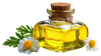 Aromatic Chamomile Elixir: A beautifully crafted glass bottle holds a golden chamomile elixir, adorned with delicate chamomile blossoms, evoking a sense of tranquility and holistic wellness.
