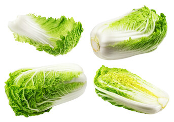 Set of Chinese cabbage isolated on transparent background.