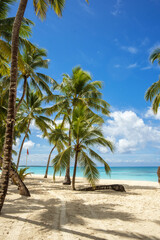 Tropical beach with white sand, coconut palms and blue ocean.