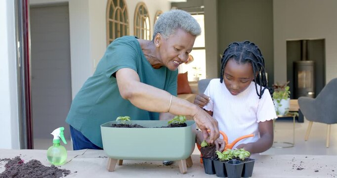 Senior grandmother guiding granddaughter selecting seedling from tray planting into planter at door
