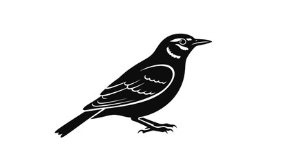 Black Bird Silhouette Profile Illustration.