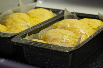 Freshly Rising Bread Loaves