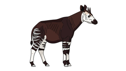 Okapi illustration, unique African forest mammal with distinctive striped legs and white face, side profile wildlife art