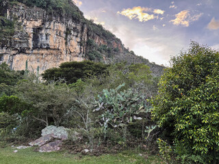  Spectacular limestone cliff face covered in lush tropical vegetation and spiky cacti at sunset