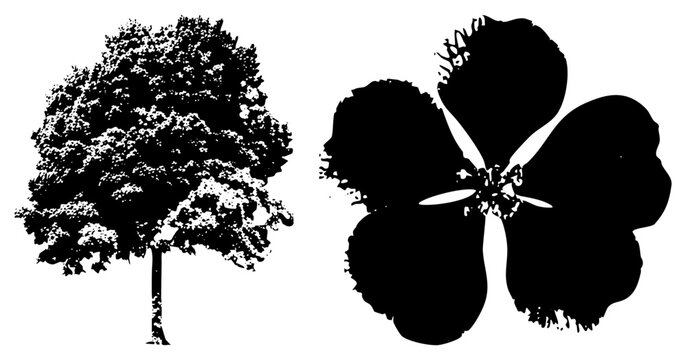 Tree silhouette with detailed foliage, flower cutout with frayed petals, vector art, nature motifs, botanical design, graphic illustration.