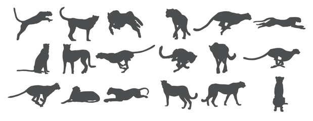 cheetah silhouettes vector illustration © Vigs