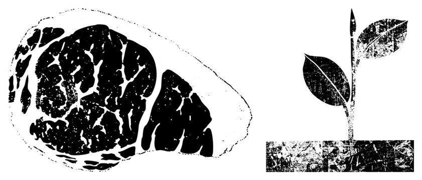 Black and white halftone steak with fat marbling, paired with a sprouting plant, rustic texture, food illustration, vegetarian contrast, meat and growth juxtaposition.