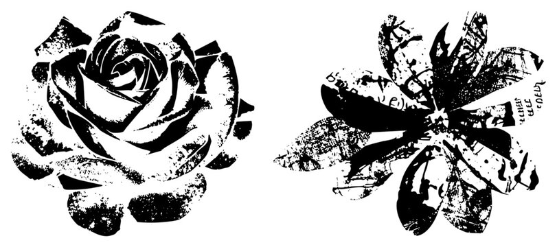 Bold black vector flowers rose like & starburst with halftone grain, distressed texture, embedded text. Ideal for graphic design or print.