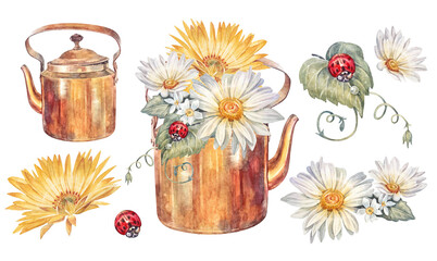 Watercolor set with bouquet with yellow chamomile and red ladybug in teapot isolated on white background. Summer bloom flower chrysanthemum for card. Clipart for wedding. Wallpaper or wrapping © NatashaKun