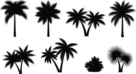 Fototapeta premium Vector set of diverse black silhouette tropical palm tree and bush icons isolated on white
