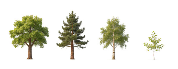 Four Different Types of Trees on White Background