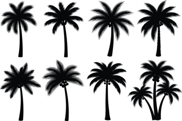 Obraz premium Vector set of eight black silhouette coconut palm tree icons isolated on a white background