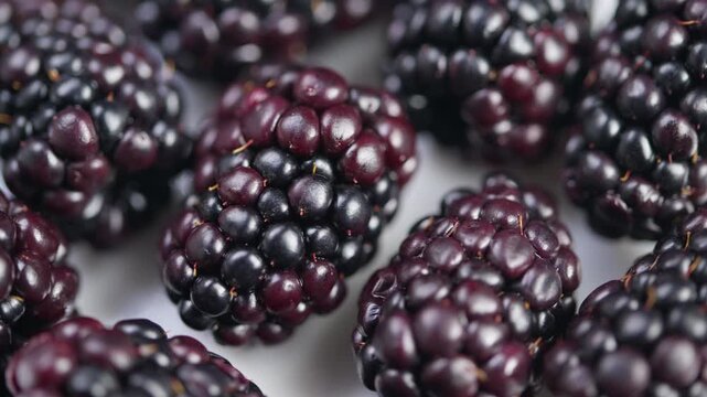 Fresh blackberries highlighted on clean background, Vivid blackberries with glossy drupelets presented against plain white background emphasizing freshness and ripeness