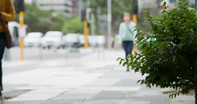Man in mustard jumper entering with coffee, causing people passing shrub on sidewalk, copy space