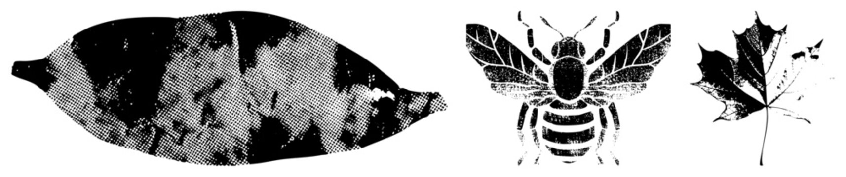 Stylized halftone bee, leaf silhouettes, vector graphic, black and white, nature motifs, isolated elements, glyph design, print ready art.