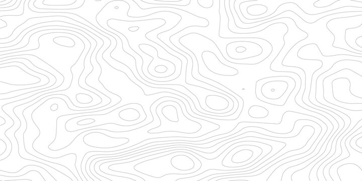 Topography background. Vector banner. Topography map background. Vector geographic contour map. Background of the topographic map. Topographic map lines, contour background.