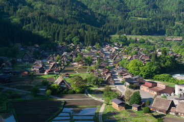 新緑の白川郷合掌集落 © 義之 古川