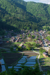 新緑の白川郷合掌集落 © 義之 古川