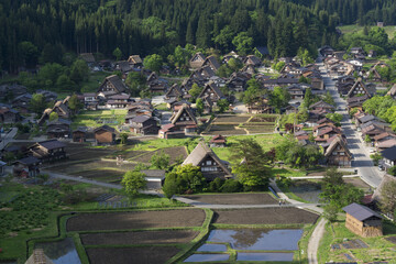 新緑の白川郷合掌集落 © 義之 古川